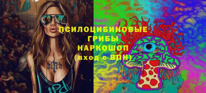 Псилоцибиновые грибы Magic Shrooms  Копейск 